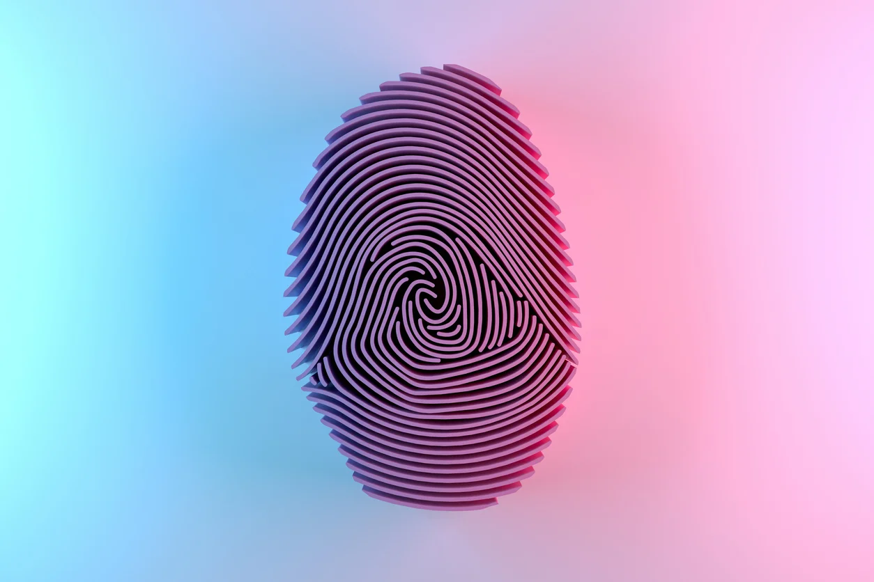 Understanding UTM Codes